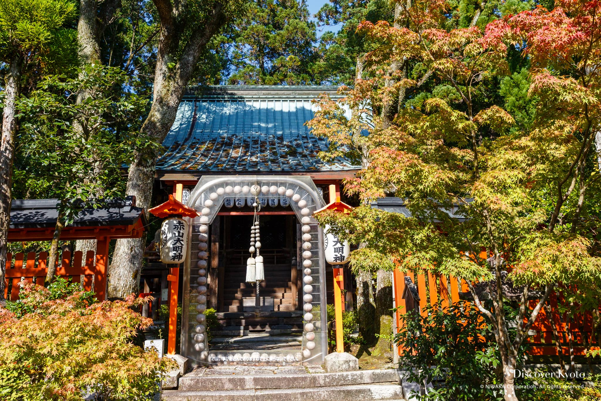 紫壇竹節いかだ三点 紫壇竹節いかだ三点